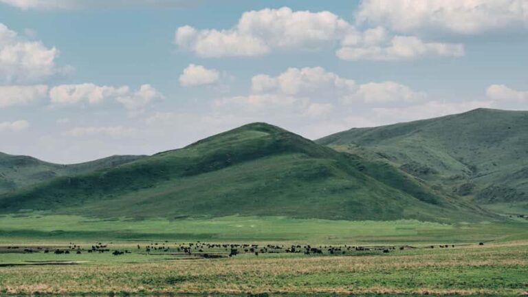 Lanzhou: Culture&Nature One-Day Tour - Customizable Packages - Exploring Lanzhou’s Natural and Cultural Wonders