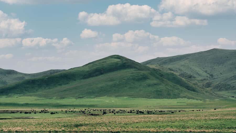 Lanzhou: Culture&Nature One-Day Tour - Customizable Packages - Exploring Lanzhou’s Natural and Cultural Wonders