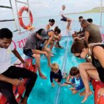 Large Group Private Clearboat Tour - Practical Details