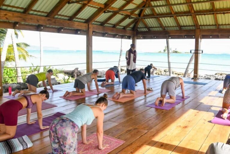Las Galeras: Morning Yoga or Aerial Yoga at Villa Serena - Who Will Love This Experience?