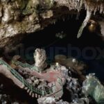 Las Galeras: Private Playa Frontón & Playa Madame Boat Tour - What the Tour Includes and Practical Details