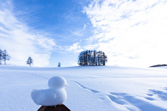 [Late Departure] Biei Best 5 Must-Visit Day Tour from Sapporo - Practical Details and Why They Matter