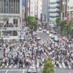 Latest Recommended Tokyo Tour Includes Shopping - What Sets This Tour Apart?