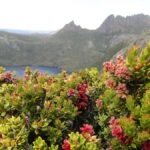 Launceston: Cradle Mountain Guided Active Day Trip - Transport, Timing, and Group Size