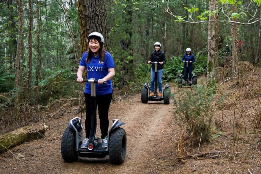 Launceston: Hollybank Forest Guided Segway Tour with Photos - The Equipment and Training