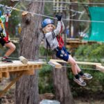 Launceston: Hollybank Junior Tree Ropes Course - The Practicalities: What You Need to Know