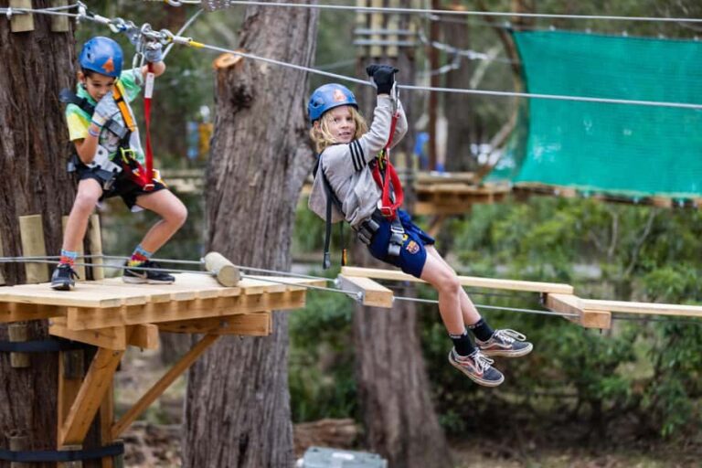 Launceston: Hollybank Junior Tree Ropes Course - The Practicalities: What You Need to Know