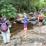 Lautoka CruiseShip Port to Abaca Waterfall Hiking Round Trip - What the Reviews Reveal About This Experience