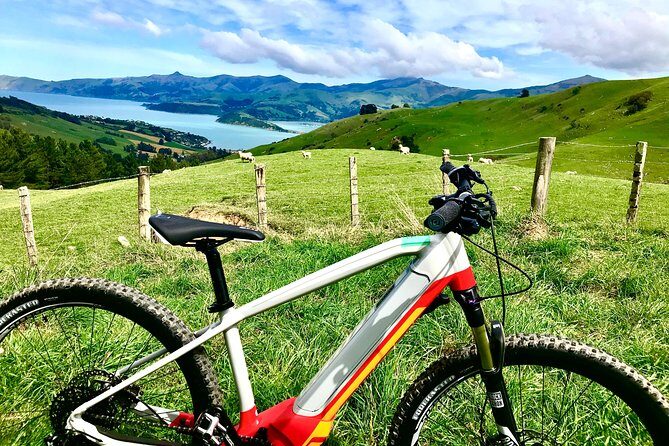 Lava Loop- Guided electric mountain bike tour in Akaroa - Detailed Breakdown of the Route