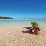 Lawai Pottery Village & Natadola Beach Kava Ceremony & Meke - Authentic Cultural Experiences That Stand Out