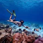 Lazy Similan Islands Marine Journey by Speedboat from Phuket - First Stop: The Similan Islands