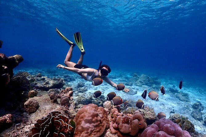 Lazy Similan Islands Marine Journey by Speedboat from Phuket - First Stop: The Similan Islands