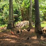 'Lazy Sunday' Sunday Bicycle Tour - What’s Included and What to Consider