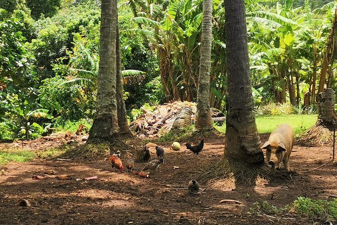 'Lazy Sunday' Sunday Bicycle Tour - What’s Included and What to Consider