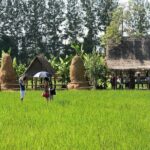 Leam Chabang Port to Bangkok Customized Cultural Exploration Tour - Why This Tour Offers Good Value