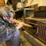 Learn Caregiving at Japan's Most Unique Nursing Home - Cost and Value