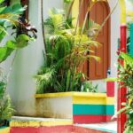 Legendary Bob Marley's Birthplace: Nine Mile St. Ann - In-Depth Look at the Nine Mile Tour Experience
