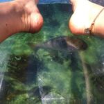 Leigh: Goat Island Clear Kayak Rental - What to Expect on Your Goat Island Clear Kayak Tour