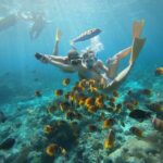 Lembongan: Manta Bay, Turtle Bay, & Gamat Bay Snorkeling - The Experience: Detailed Breakdown