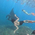 Lembongan Snorkeling Day Trip - A Step-by-Step Breakdown of the Itinerary
