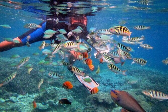 Lembongan Snorkeling Swim With Manta Rays and Island Tour - Final Thoughts