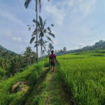 Lemukih Hidden Trekking Waterslide Sekumpul and Fiji Waterfall - Expert Guides and Safety