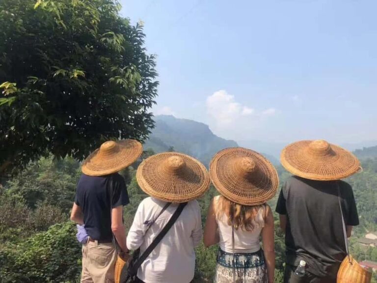 Leshan: Giant Buddha, Tea Village, and Old town Day Trip - The Charm of a Traditional Tea Village