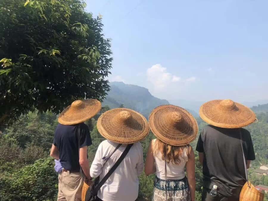 Leshan: Giant Buddha, Tea Village, and Old town Day Trip - The Charm of a Traditional Tea Village