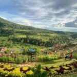 Leyte: Ormoc: City Highlights Guided Tour - An In-Depth Look at the Tour Experience