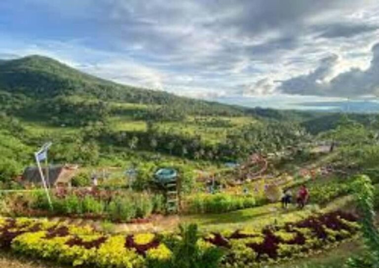 Leyte: Ormoc: City Highlights Guided Tour - An In-Depth Look at the Tour Experience