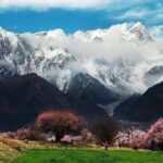 Lhasa Private Departure Transfer: Hotel to Airport - Why Choose This Transfer Service?