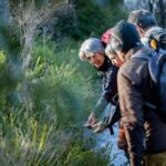 Lighting the Sound Uredale Twilight Hike - Who is this tour best suited for?