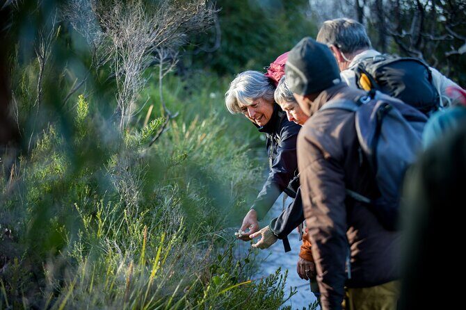 Lighting the Sound Uredale Twilight Hike - Who is this tour best suited for?