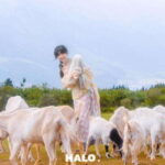 Lijiang: Ethnic Costume Photoshoot with Hotel Transfers - The Itinerary: What to Expect