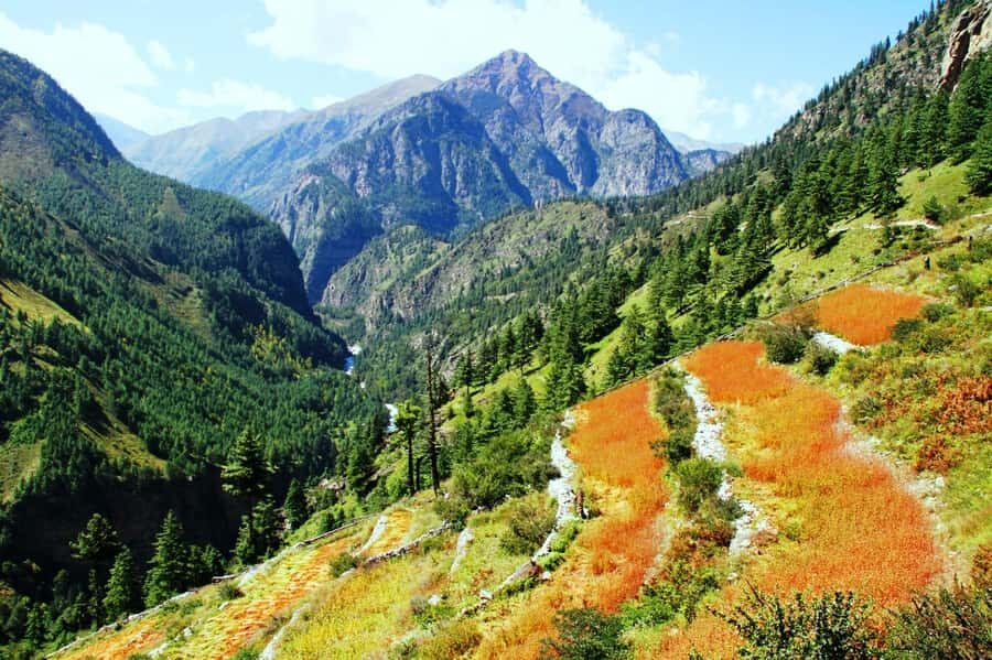 Limi Valley Trek - 10 Day - Detailed Overview and What You Can Expect