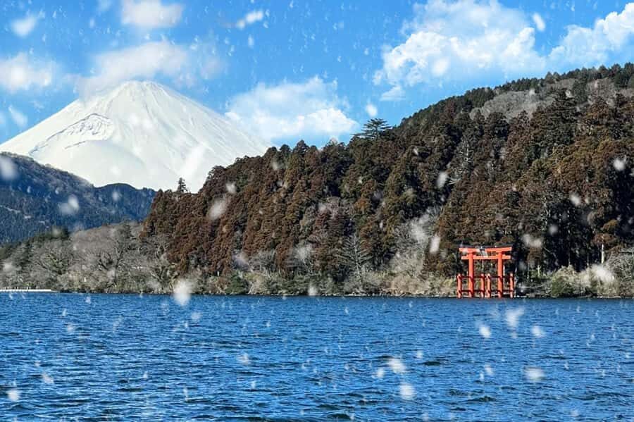 Limited: Mt. Fuji&Hakone, FREE Pirate Ship&Owakudani Ropeway - The Practical Details & Value
