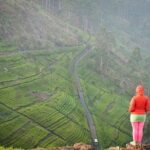 Lipton's Seat and Tea Factory,Trail Amidst Tea Plantation Day Tour - Why This Tour Offers Great Value