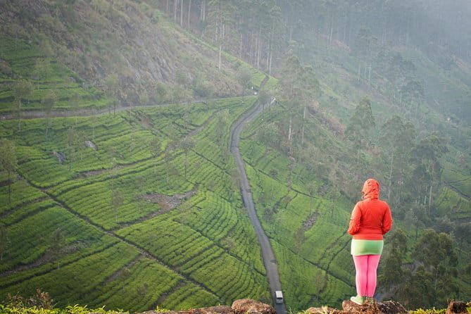 Lipton's Seat and Tea Factory,Trail Amidst Tea Plantation Day Tour - Why This Tour Offers Great Value