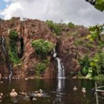 Litchfield & Berry Springs, Premium tour, 10 guests & lunch - What Really Sets This Tour Apart?