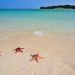 LITTLE BORACAY- CALATAGAN BATANGAS DAY TOUR (FROM MANILA) - The Itinerary in Detail