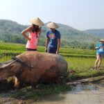 Living Land Experience and Kuang Si water with Lunch - Summary