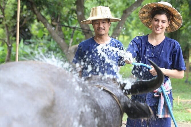 Local Farming Experience in Chiang Mai, Thailand - Practical Details and Tips