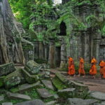 Local French Speaking Guide for Angkor Wat Day Tour - Transportation and Group Details