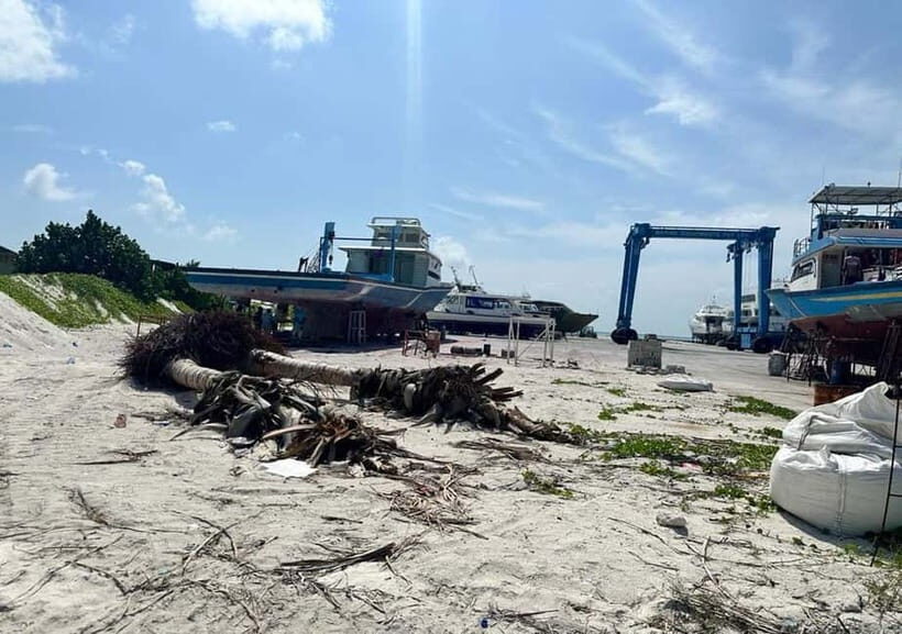 Local island(Himmafushi) tour from Male'/ Hulhumale Maldives - Snorkeling in a Vibrant Reef