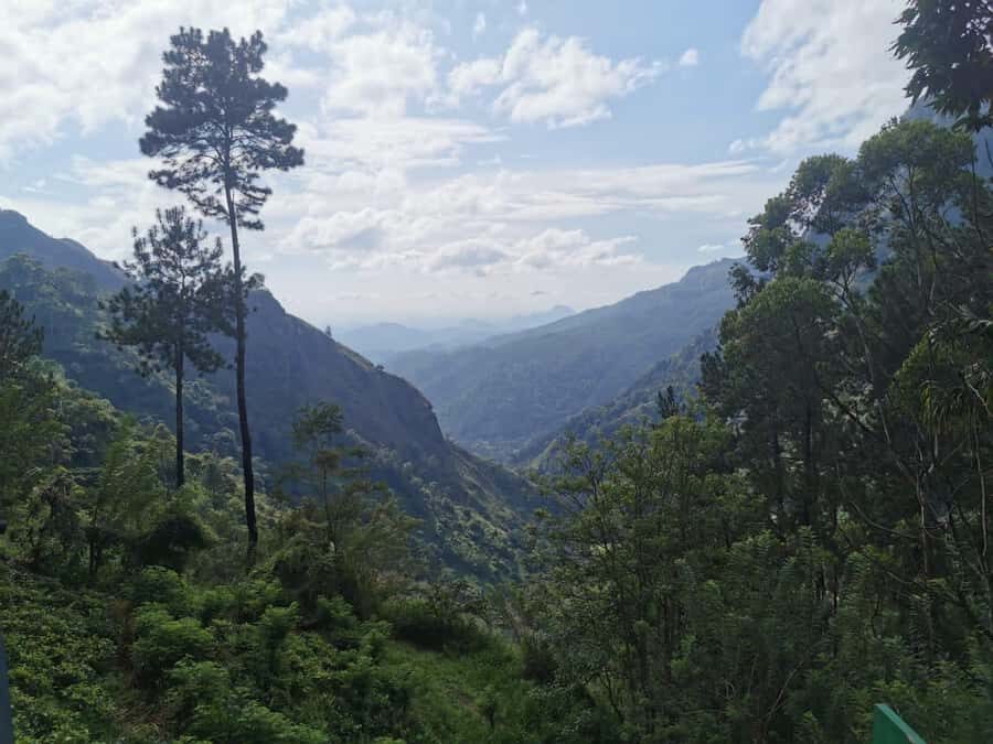 Local Life, Food & Nature Around Kandy by Tuk-Tuk - What Makes This Tour Stand Out?