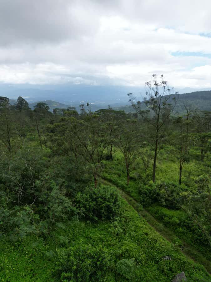 LOCATION: Hanthana to Galaha Pekoe Trail Stage 01 Trek - Why Choose This Trek?