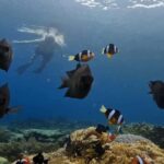 Lombok: 5 Gili Islands Snorkeling Tour With Private Boat - The Overall Value
