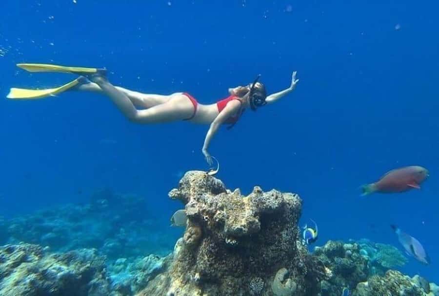 Lombok: 5 Gili Islands Snorkeling Tour With Private Boat - Practical Details & Tips