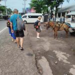 Lombok: Benang Stokel Waterfall Guided Trek with Snacks - What to Expect From the Tour