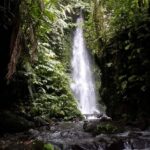 Lombok: Coffee Experience, Rice Terraces & Waterfalls Tour - Authentic Experiences and Value